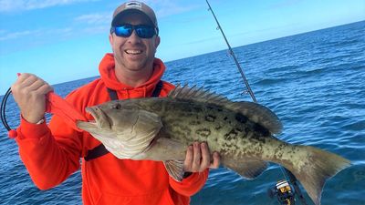 Catch Tropical Treasures on 6hr Offshore Trip in Clearwater, FL