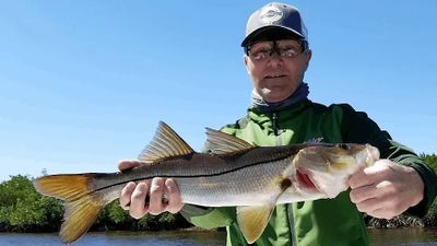 Punta Gorda Fishing Charter | 4 Hour Charter Trip 