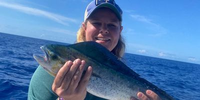 Half Day Reef Fishing and Conch Diving