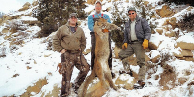 7 Day Mountain Lion  Hunting Trip 