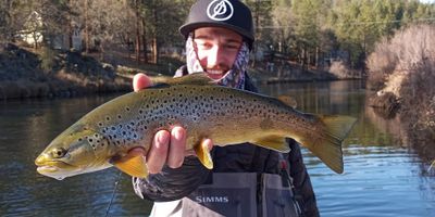 Fishing Guides Sacramento River | 4 Hour Charter Trip