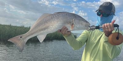 Fishing Charters Tampa Bay | 6 Hour Fishing Trip - “Triple” Charter