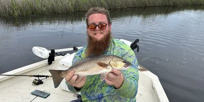 Crystal River Scalloping – Half Day