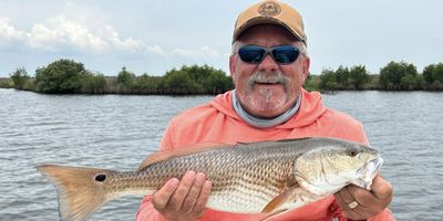 Rainbow River Bass Fishing – Half Day