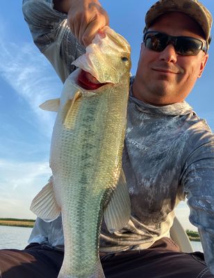 Lake Henderson Bass Fishing – Half Day