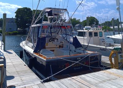 Fishing Charters in Rhode Island | 4HR Inshore Trip