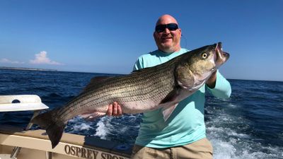 CT Striper Fishing