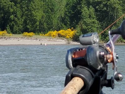 Catch and Release Sturgeon
