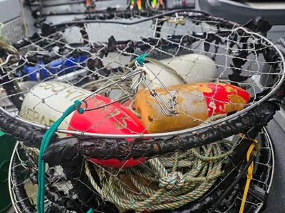 Shared Dungeness Crabbing – Columbia River