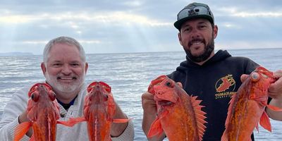 San Diego Bay Fishing Charters | Private Morning or Afternoon Inshore Charter Trip 