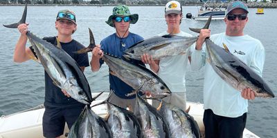 San Diego Bay Fishing Charters | Private 9 to 12 Hour Offshore Charter Trip