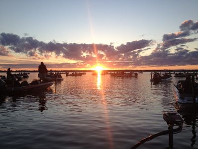 2 hr. Birding Cruise with Naturalist 