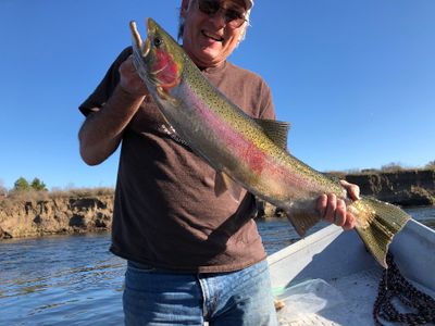 Rogue River Salmon steelhead fishing all day