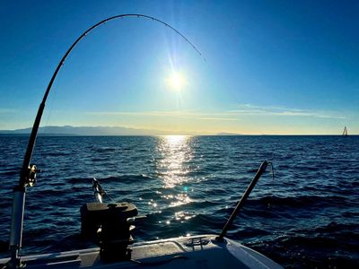 Deep Bay Fishing Charters | 4-Hour (Morning or Afternoon) Private Fishing Trip