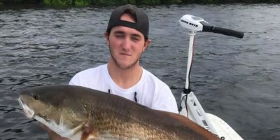 Half Day AM Inshore Trip – Private (2 Guests)