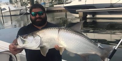 Full Day Tarpon Trip – Private (2 Guests)