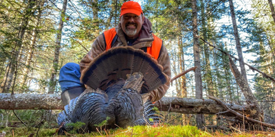 Maine Turkey Hunts