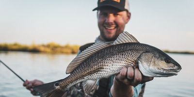 Tampa Bay Charter Fishing | 4 Hour Inshore Charter Trip