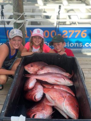 Orange Beach Trolling/Bottom Fishing Trips