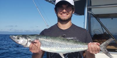 Fishing Charters Ponce Inlet