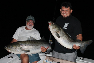 Night Bass Fishing - Montauk