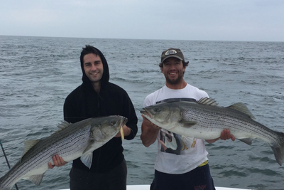 Inshore Trip - Montauk