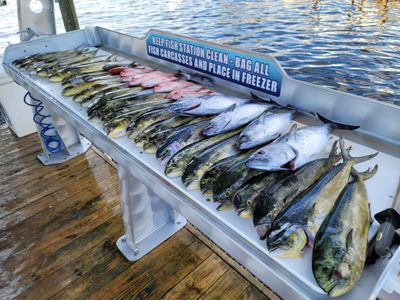 10 Hour Full Day Trip - Saltwater Fishing-Shalimar, Florida