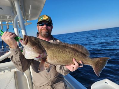 7 Hour Trip - Saltwater Fishing-Shalimar, Florida