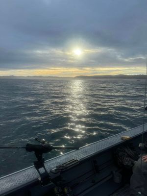 Private 8 Hour Rockfish And Lingcod Fishing Trip 