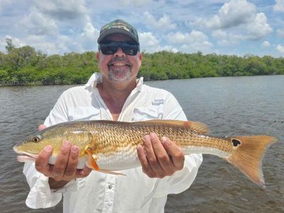 Everglades City Fishing Charters