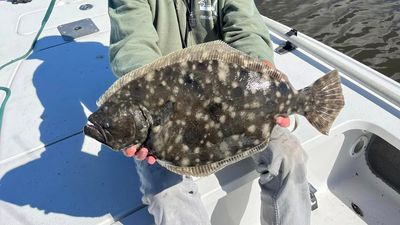 Half Day Morning Fishing Trip - North Carolina