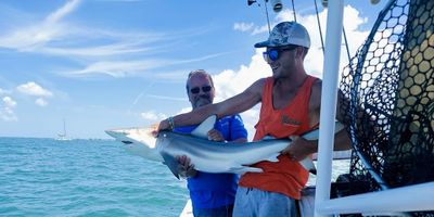 Fort Myers Shark Fishing
