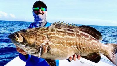 8 Hour Reefs and Wrecks Fishing - Miami, FL