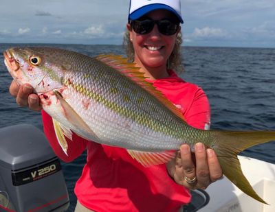 4 Hour Inshore Bay Fishing Trip - Miami, FL