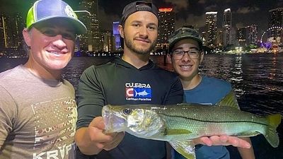 4 Hour Tarpon and Snook Fishing - Miami, FL