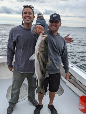 Super Evening Bass Fishing