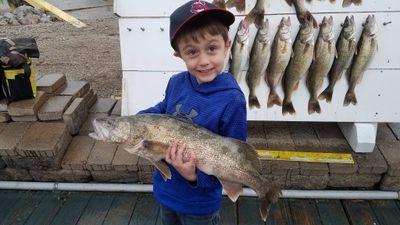 Perch/Walleye Combo Trips - Weekends