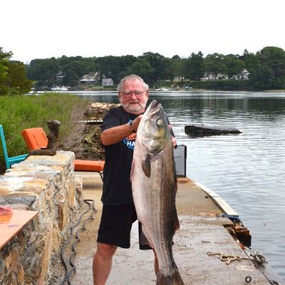 4 hour striper fishing trip in Lake Texoma