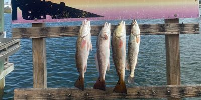 Full-Day Fishing in Rockport