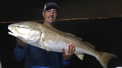 St. Petersburg Evening Inshore Fishing Trip: Unveil What's Within 3 Hours