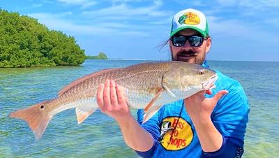 Discover the Coast of St. Petersburg on a 6-Hour Inshore Fishing Trip