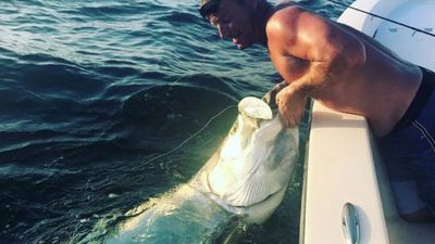 A Fisherman's Dream: 4 Hours of Tarpon in St. Petersburg