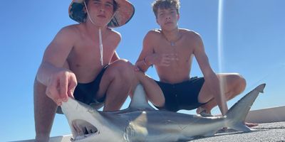 Unleash Your Inner Fisherman: Shark Fishing in Tampa Bay