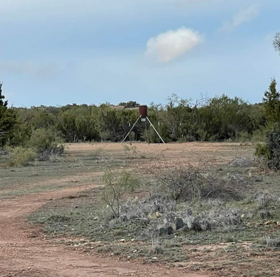 Deer Hunting Texas | 8hrs deer hunting