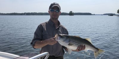 Weekday Striped Bass Trip – Lake Murray (Up to 3 Guests)