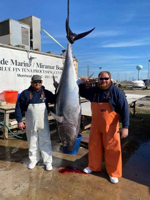 North Carolina Gulf Stream Fishing Trip