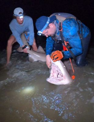 Cape May Land Based Shark Fishing | 8 Hour Charter Trip 