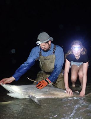 Cape May Land Based Shark Fishing | 6 Hour Charter Trip 