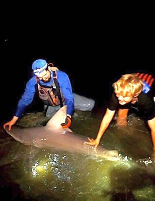 Lewes Land Based Shark Fishing | 6 Hour Charter Trip