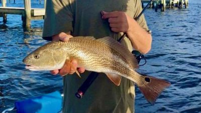 Fishing Charter Jacksonville FL | Redfish Fishing Trip